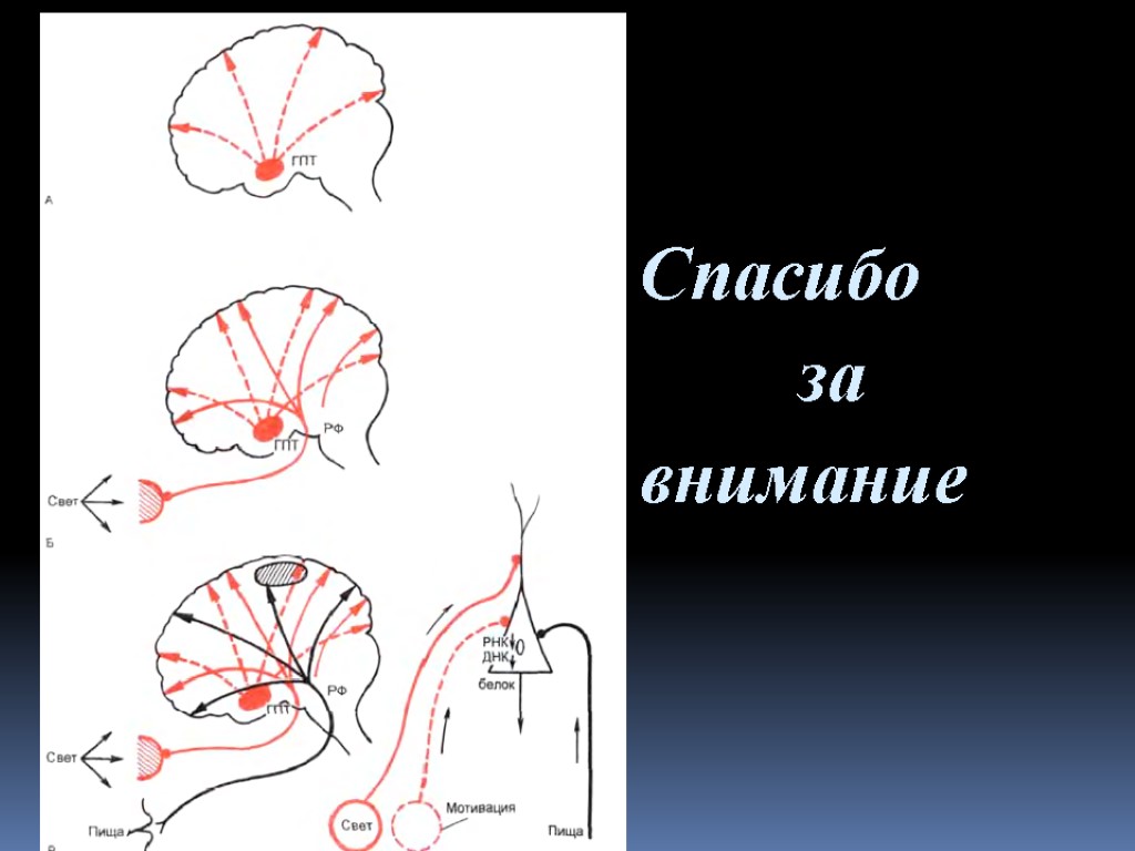 Спасибо за внимание